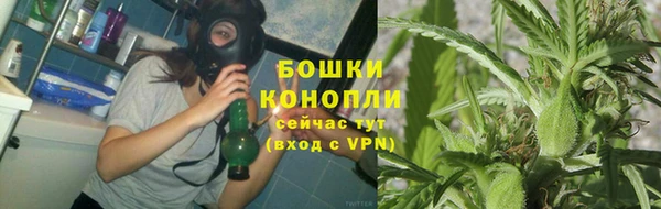 гидропоника Ельня