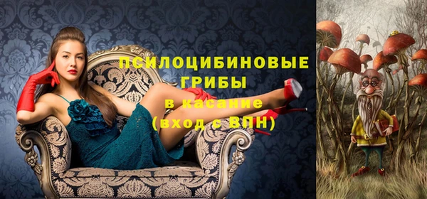 МДПВ Богданович