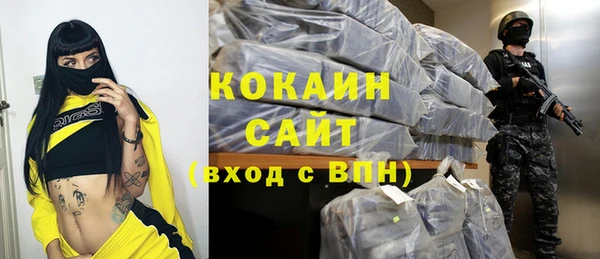 кокс Богородицк