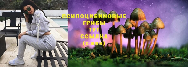 МДПВ Богданович